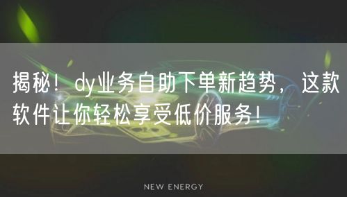 揭秘!dy业务自助下单新趋势,这款软件让你轻松享受低价服务!