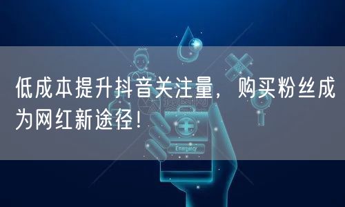 低成本提升抖音关注量,购买粉丝成为网红新途径!