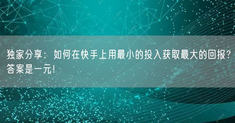 独家分享:如何在快手上用最小的投入获取最大的回报?答案是一元!