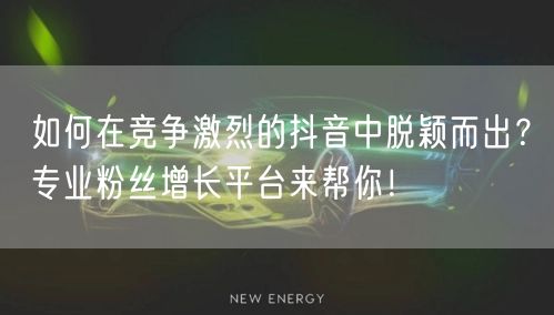 如何在竞争激烈的抖音中脱颖而出?专业粉丝增长平台来帮你!