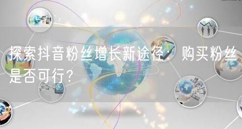 探索抖音粉丝增长新途径：购买粉丝是否可行？