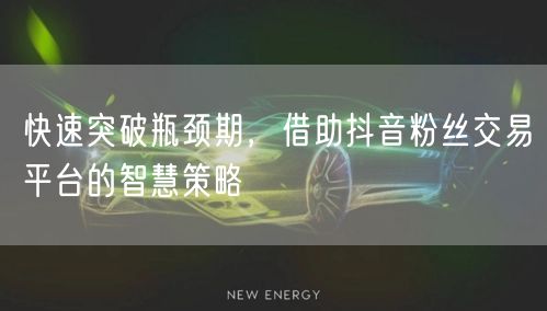 快速突破瓶颈期,借助抖音粉丝交易平台的智慧策略