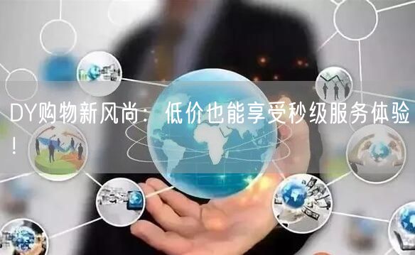 DY购物新风尚:低价也能享受秒级服务体验!
