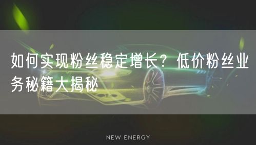 如何实现粉丝稳定增长?低价粉丝业务秘籍大揭秘