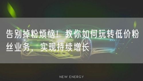 告别掉粉烦恼!教你如何玩转低价粉丝业务,实现持续增长