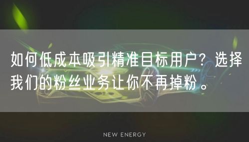 如何低成本吸引精准目标用户？选择我们的粉丝业务让你不再掉粉。