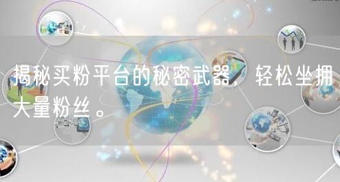 揭秘买粉平台的秘密武器,轻松坐拥大量粉丝。