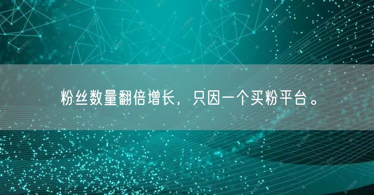 粉丝数量翻倍增长,只因一个买粉平台。