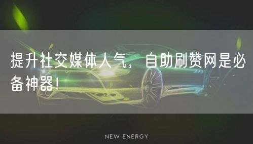 提升社交媒体人气,自助刷赞网是必备神器!