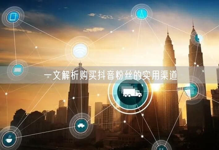 一文解析购买抖音粉丝的实用渠道