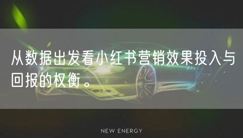 从数据出发看小红书营销效果投入与回报的权衡。
