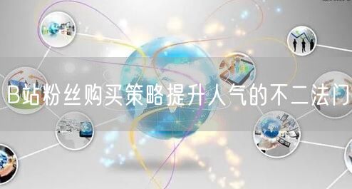 B站粉丝购买策略提升人气的不二法门