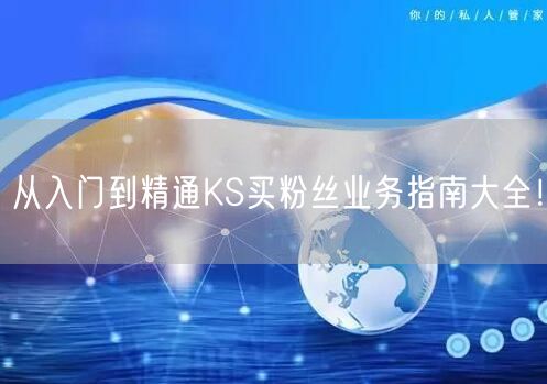 从入门到精通KS买粉丝业务指南大全!