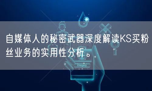 自媒体人的秘密武器深度解读KS买粉丝业务的实用性分析。