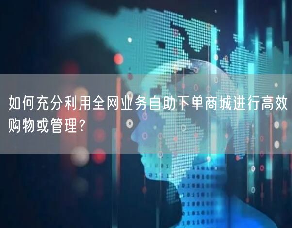 如何充分利用全网业务自助下单商城进行高效购物或管理?