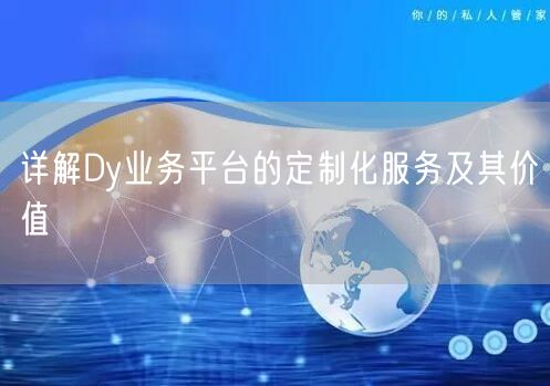 详解Dy业务平台的定制化服务及其价值