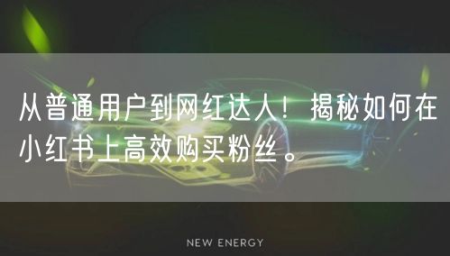 从普通用户到网红达人!揭秘如何在小红书上高效购买粉丝。