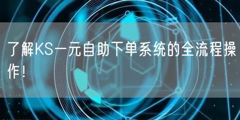 了解KS一元自助下单系统的全流程操作！