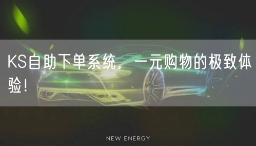 KS自助下单系统，一元购物的极致体验！