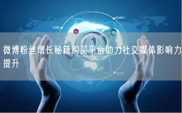 微博粉丝增长秘籍购买平台助力社交媒体影响力提升