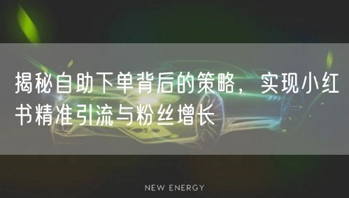 揭秘自助下单背后的策略，实现小红书精准引流与粉丝增长
