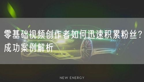 零基础视频创作者如何迅速积累粉丝?成功案例解析