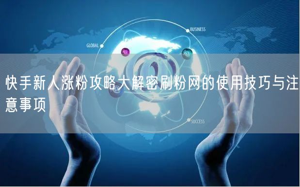 快手新人涨粉攻略大解密刷粉网的使用技巧与注意事项