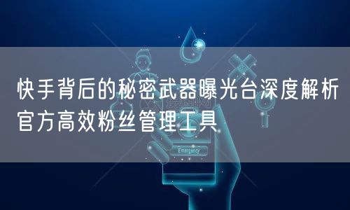 快手背后的秘密武器曝光台深度解析官方高效粉丝管理工具